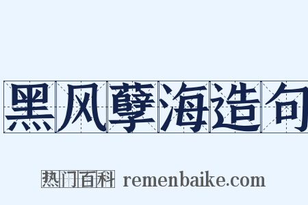 黑风孽海造句是什么意思的图片